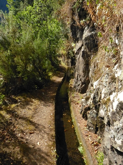 10 August 2012 Levadas dos Tornos and das Faias — On the Tornos to the stream works on the Ribeira do Joao Fernandes — photo 8