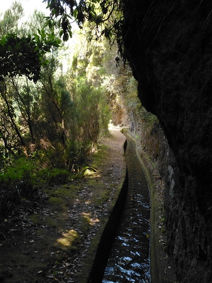 10 August 2012 Levadas dos Tornos and das Faias — On to the Faja do Penedo levada house — photo 11