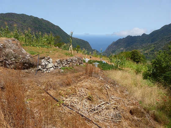 10 August 2012 Levadas dos Tornos and das Faias — From the levada house to Lamaceiros — photo 4
