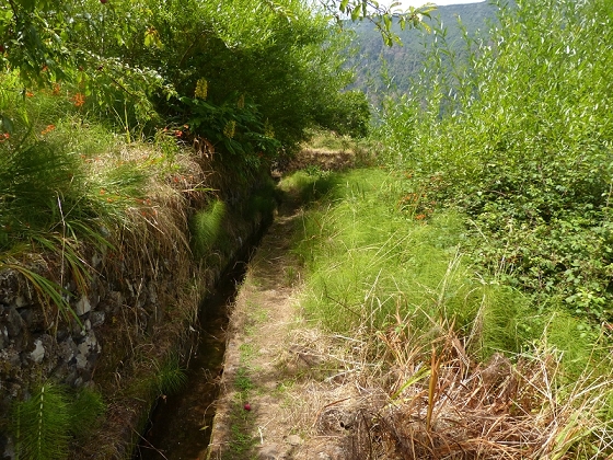 10 August 2012 Levadas dos Tornos and das Faias — On the Levada das Faias to the crux — photo 4