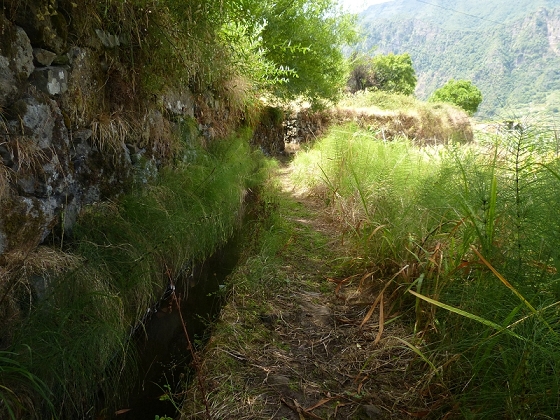 10 August 2012 Levadas dos Tornos and das Faias — On the Levada das Faias to the crux — photo 6