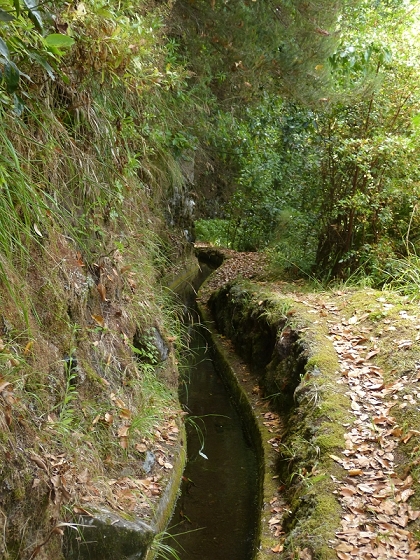 10 August 2012 Levadas dos Tornos and das Faias — On the Levada das Faias to the crux — photo 19