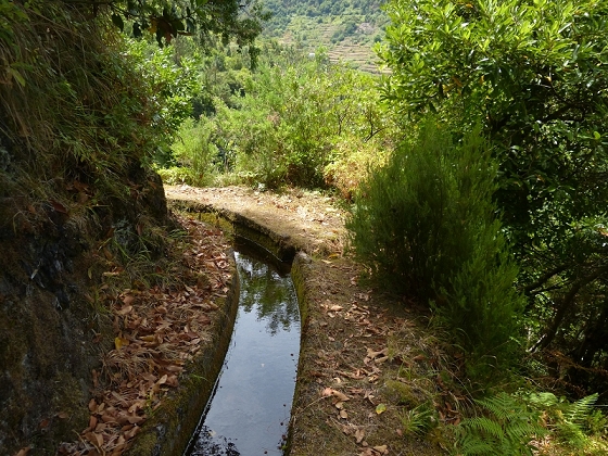 10 August 2012 Levadas dos Tornos and das Faias — On the Levada das Faias to the crux — photo 20