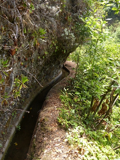 10 August 2012 Levadas dos Tornos and das Faias — On the Levada das Faias to the crux — photo 21