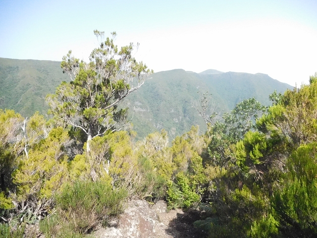 10 August 2015 Levada do Norte and Barbinhas ascent — From the plateau to the Levada do Norte — photo 10