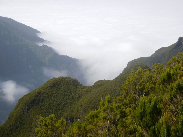 10 August 2015 Levada do Norte and Barbinhas ascent — The way back — photo 17