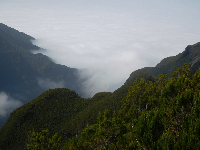 10 August 2015 Levada do Norte and Barbinhas ascent — The way back — photo 19