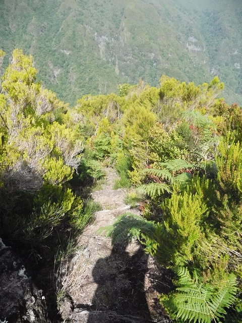 10 August 2015 Levada do Norte and Barbinhas ascent — From the plateau to the Levada do Norte — photo 11