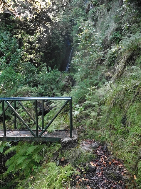 10 August 2015 Levada do Norte and Barbinhas ascent — From the plateau to the Levada do Norte — photo 14