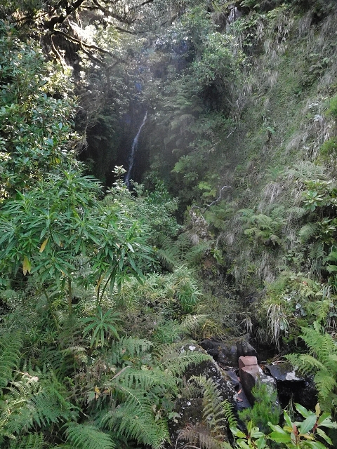 10 August 2015 Levada do Norte and Barbinhas ascent — From the plateau to the Levada do Norte — photo 16