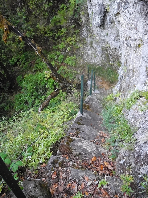 10 August 2015 Levada do Norte and Barbinhas ascent — From the plateau to the Levada do Norte — photo 17