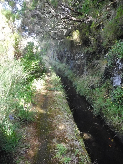 10 August 2015 Levada do Norte and Barbinhas ascent — From the plateau to the Levada do Norte — photo 19