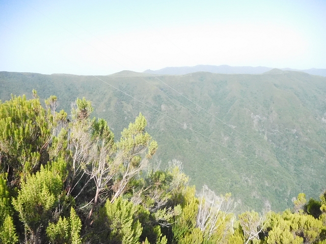 10 August 2015 Levada do Norte and Barbinhas ascent — From the plateau to the Levada do Norte — photo 2