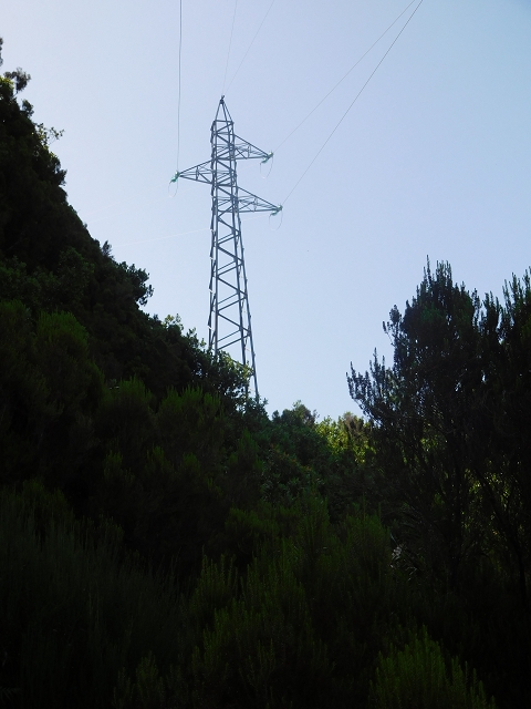 10 August 2015 Levada do Norte and Barbinhas ascent — From the levada house to the big gorge — photo 3