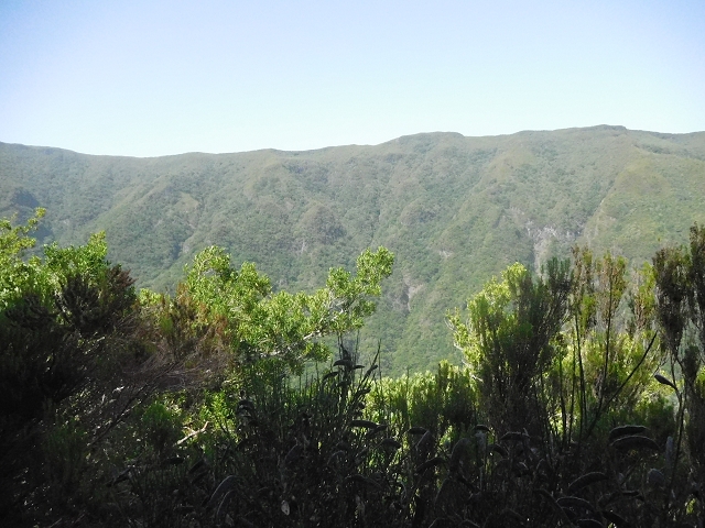 10 August 2015 Levada do Norte and Barbinhas ascent — From the levada house to the big gorge — photo 4