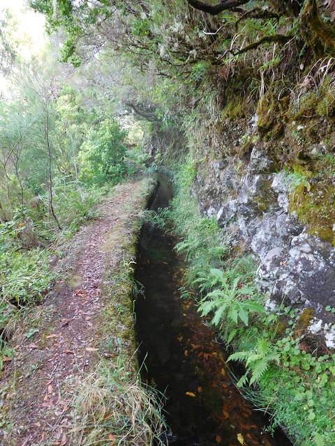 10 August 2015 Levada do Norte and Barbinhas ascent — From the levada house to the big gorge — photo 6