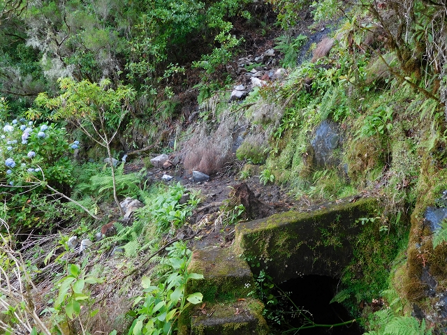 10 August 2015 Levada do Norte and Barbinhas ascent — From the levada house to the big gorge — photo 8