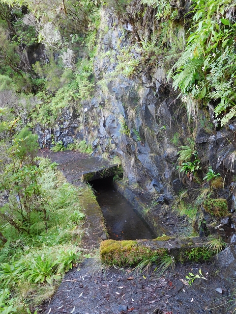 10 August 2015 Levada do Norte and Barbinhas ascent — From the levada house to the big gorge — photo 9