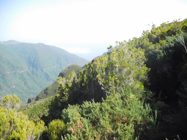 10 August 2015 Levada do Norte and Barbinhas ascent — From the plateau to the Levada do Norte — photo 3