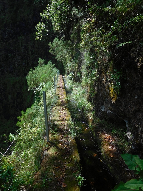 10 August 2015 Levada do Norte and Barbinhas ascent — From the levada house to the big gorge — photo 12