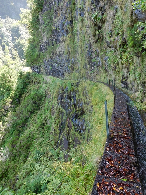 10 August 2015 Levada do Norte and Barbinhas ascent — From the levada house to the big gorge — photo 13