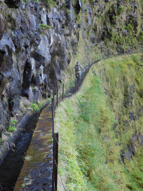 10 August 2015 Levada do Norte and Barbinhas ascent — From the levada house to the big gorge — photo 14