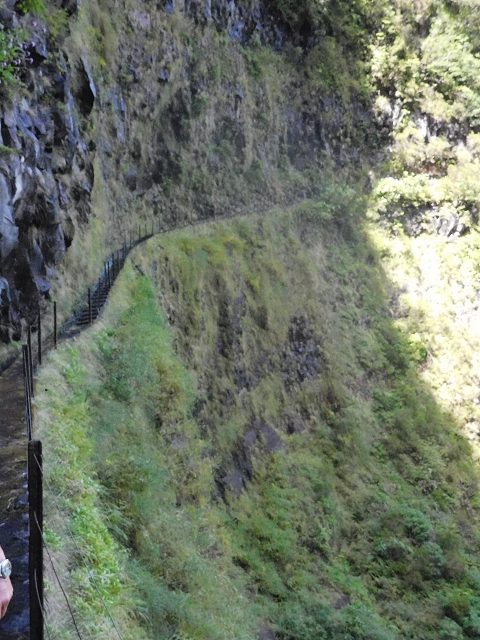 10 August 2015 Levada do Norte and Barbinhas ascent — From the levada house to the big gorge — photo 15