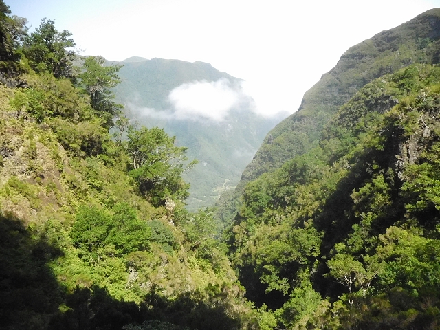 10 August 2015 Levada do Norte and Barbinhas ascent — From the levada house to the big gorge — photo 16