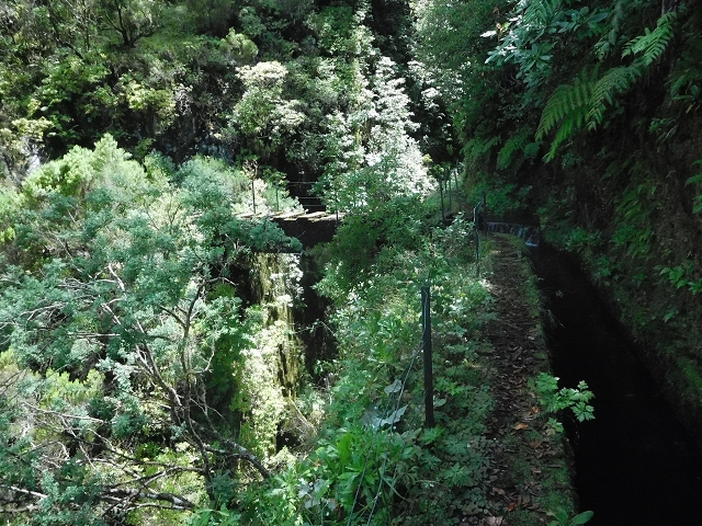10 August 2015 Levada do Norte and Barbinhas ascent — Before the entrance of the long tunnel — photo 4