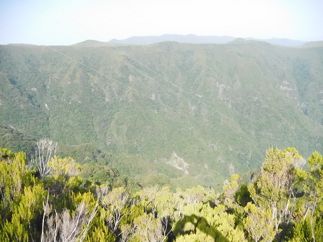 10 August 2015 Levada do Norte and Barbinhas ascent — From the plateau to the Levada do Norte — photo 4
