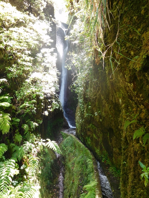 10 August 2015 Levada do Norte and Barbinhas ascent — Before the entrance of the long tunnel — photo 6