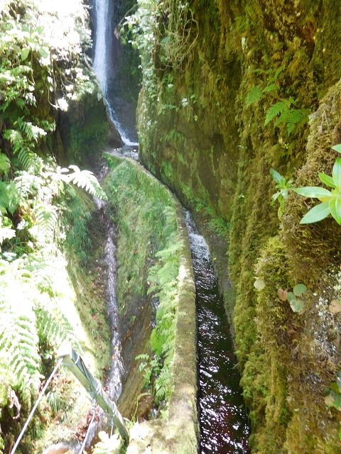 10 August 2015 Levada do Norte and Barbinhas ascent — Before the entrance of the long tunnel — photo 7