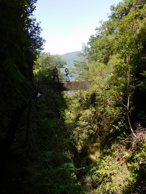 10 August 2015 Levada do Norte and Barbinhas ascent — Before the entrance of the long tunnel — photo 8