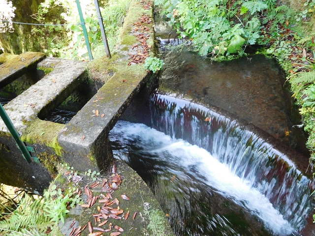 10 August 2015 Levada do Norte and Barbinhas ascent — Before the entrance of the long tunnel — photo 10