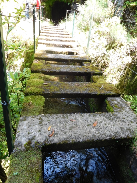 10 August 2015 Levada do Norte and Barbinhas ascent — Before the entrance of the long tunnel — photo 11
