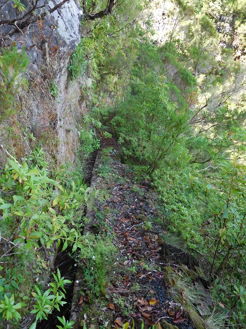 10 August 2015 Levada do Norte and Barbinhas ascent — Before the entrance of the long tunnel — photo 14