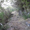 10 August 2015 Levada do Norte and Barbinhas ascent — From the plateau to the Levada do Norte — photo 5