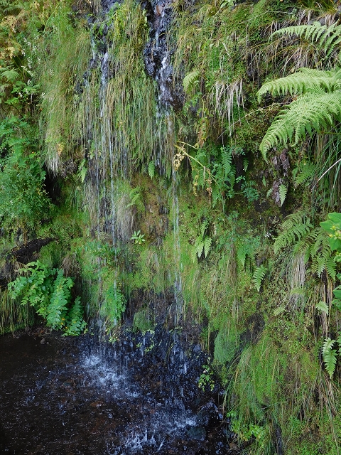 10 August 2015 Levada do Norte and Barbinhas ascent — After the long tunnel — photo 4