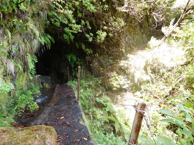 10 August 2015 Levada do Norte and Barbinhas ascent — After the long tunnel — photo 5