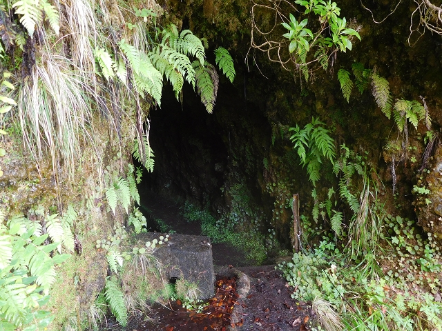 10 August 2015 Levada do Norte and Barbinhas ascent — After the long tunnel — photo 7