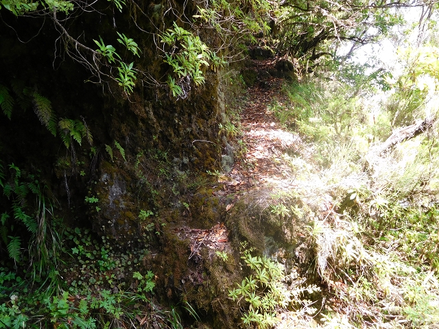 10 August 2015 Levada do Norte and Barbinhas ascent — The feeder levadas and the search for the ascent — photo 1
