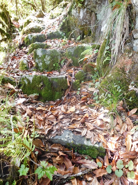 10 August 2015 Levada do Norte and Barbinhas ascent — The feeder levadas and the search for the ascent — photo 2