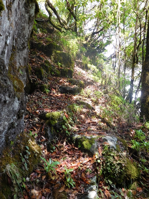 10 August 2015 Levada do Norte and Barbinhas ascent — The feeder levadas and the search for the ascent — photo 3