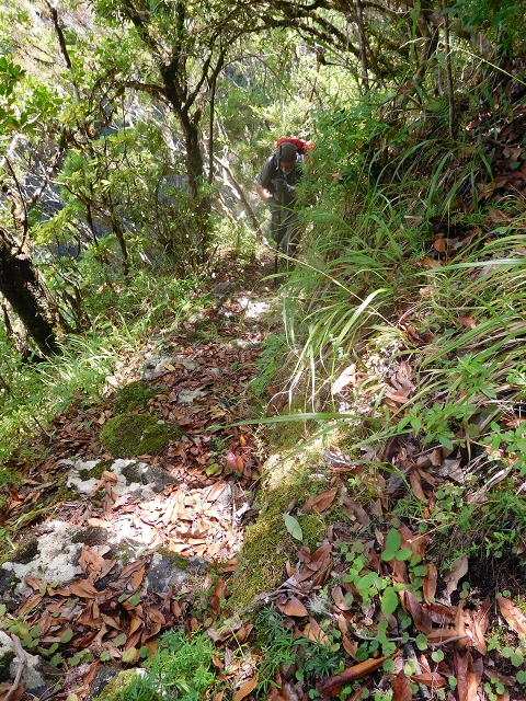 10 August 2015 Levada do Norte and Barbinhas ascent — The feeder levadas and the search for the ascent — photo 4