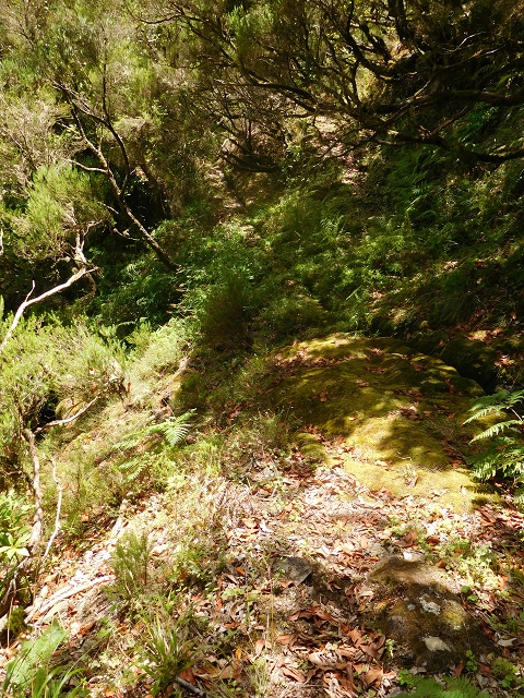 10 August 2015 Levada do Norte and Barbinhas ascent — The feeder levadas and the search for the ascent — photo 6