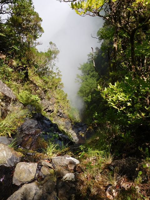 10 August 2015 Levada do Norte and Barbinhas ascent — The feeder levadas and the search for the ascent — photo 7
