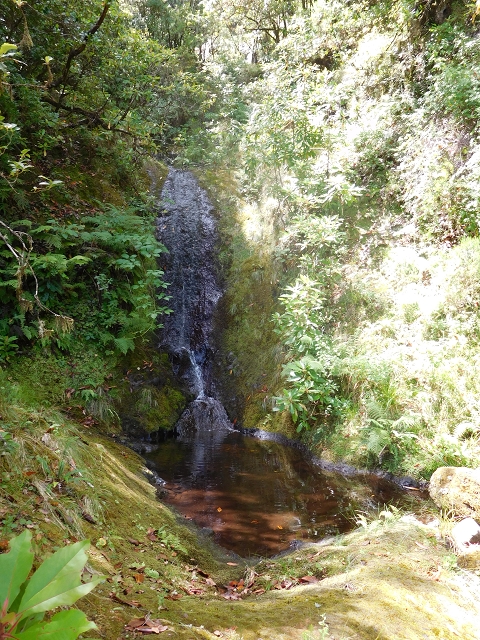 10 August 2015 Levada do Norte and Barbinhas ascent — The feeder levadas and the search for the ascent — photo 8