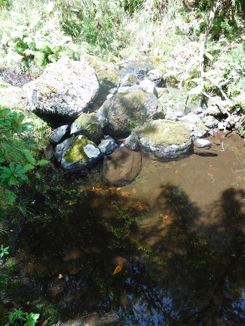 10 August 2015 Levada do Norte and Barbinhas ascent — The feeder levadas and the search for the ascent — photo 9