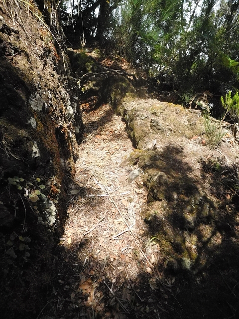 10 August 2015 Levada do Norte and Barbinhas ascent — The feeder levadas and the search for the ascent — photo 16
