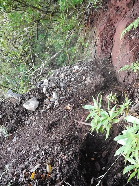 10 August 2015 Levada do Norte and Barbinhas ascent — The feeder levadas and the search for the ascent — photo 17